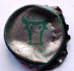 Codi