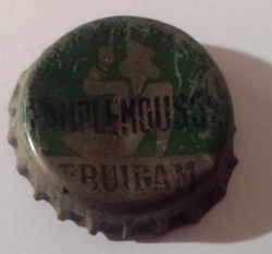Fruidam