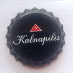 Kalnapilis