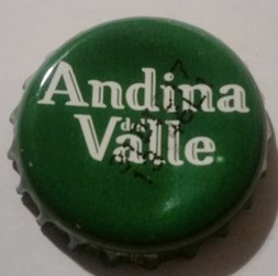 Andina