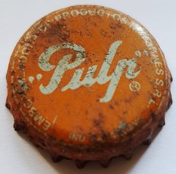 Pulp