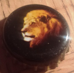 The Lion