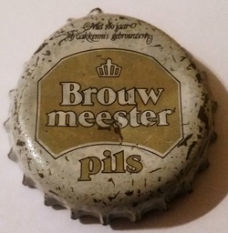 Meester