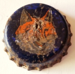 Fox Head