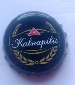 Kalnapilis
