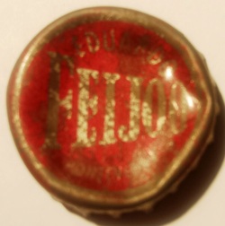 Feijoo