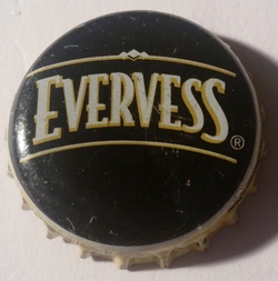 Evervess