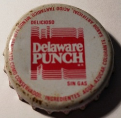 Delaware Punch