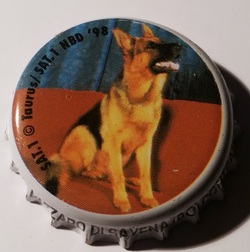 Il Commissario Rex