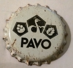 Pavo
