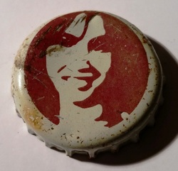 Fizzy Lizzy
