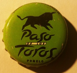 Paso de los Toros