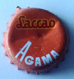 Laccao Agama