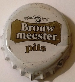 Meester