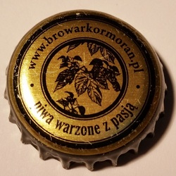 Kormoran