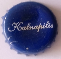 Kalnapilis