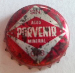 Porvenir