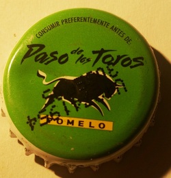Paso de los Toros