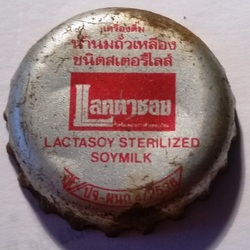 Lacctasoy