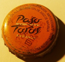 Paso de los Toros