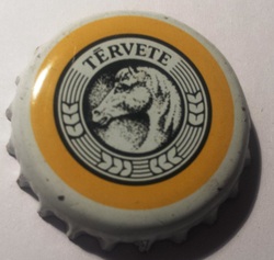 Térvete