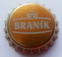 Branik