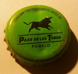 Paso de los Toros