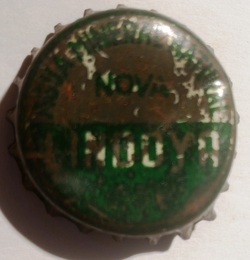 Lindoya