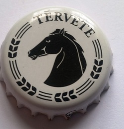 Térvete