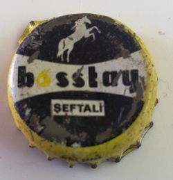 Bosstay