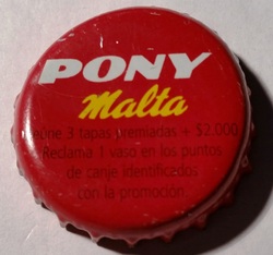Pony