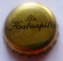 Kalnapilis
