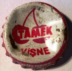Tamek