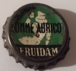 Fruidam