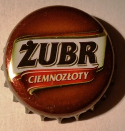 Zubr