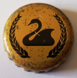 Swan