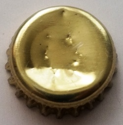 Oso Pardo