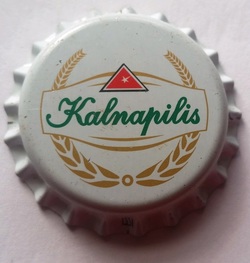 Kalnapilis