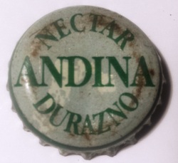 Andina