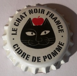 Le chat noir