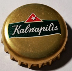 Kalnapilis