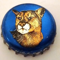 Wildcat