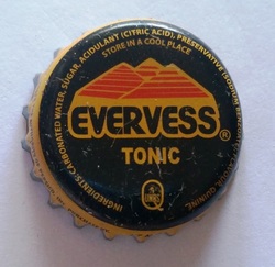 Evervess