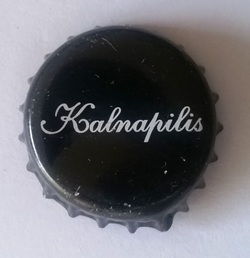 Kalnapilis