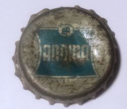 Andina