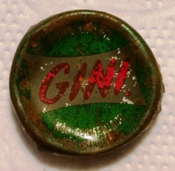 Gini