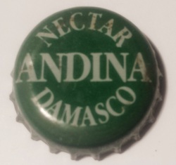 Andina