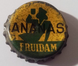 Fruidam