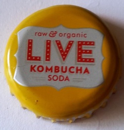 Live Kombucha