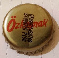 Özkaynak